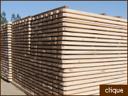 Vigas para constru&ccedil;&atilde;o