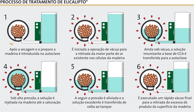 Processo de Tratamento de Eucalipto